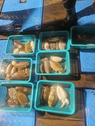구매후기