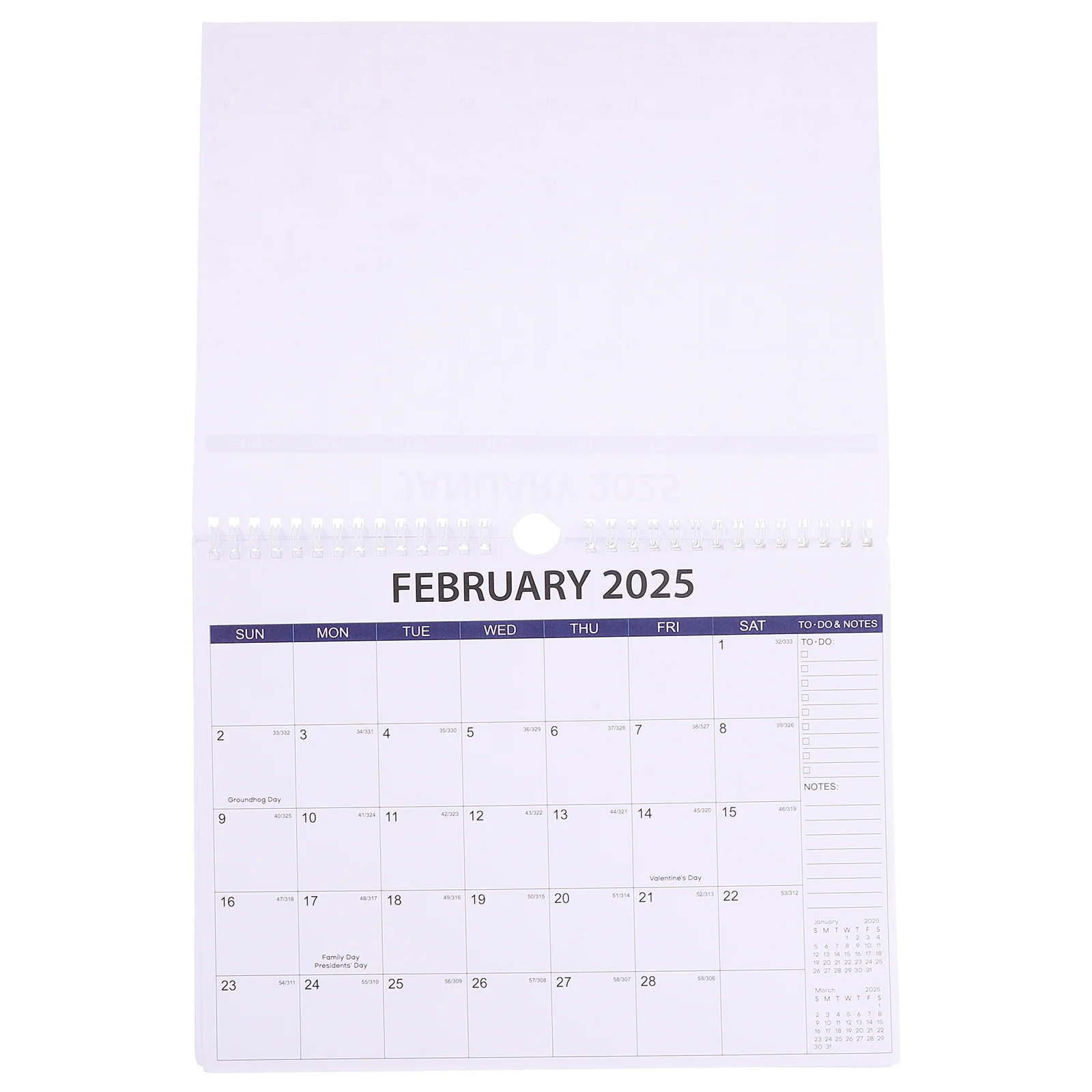 

2025 Wall Calendar Daily Floral Blank Large Monthly Noting Yearly English Household Hanging Simple