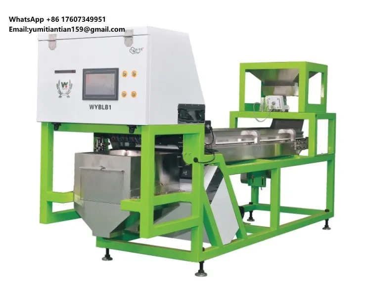 Agriculture Garlic Color Sorting Machine Intelligent Olive Coffee Cherry Color Sorter for Sale