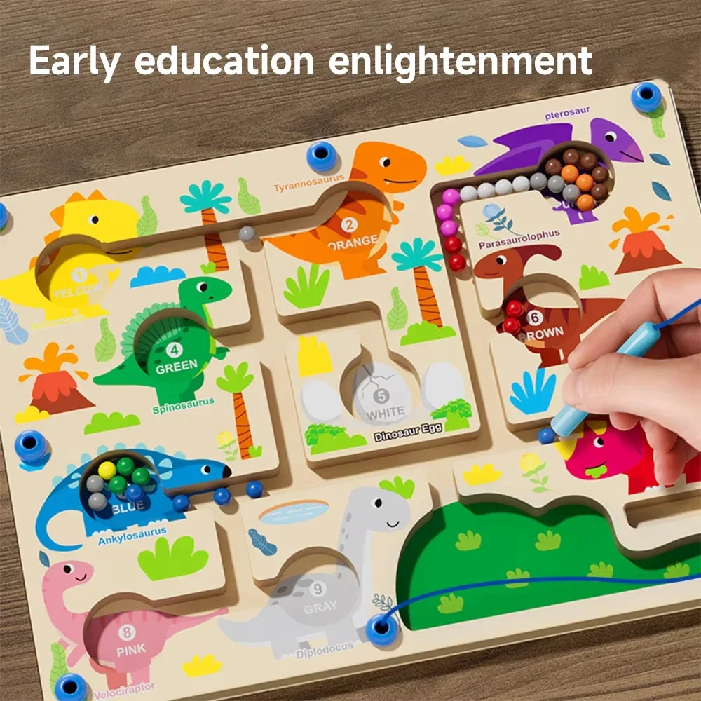 Jouet Montessori pour enfants, stylo magnétique, jeu de balle mobile, tri des couleurs, planche de comptage, entraînement à la motricité Fine, jouets éducatifs sensoriels