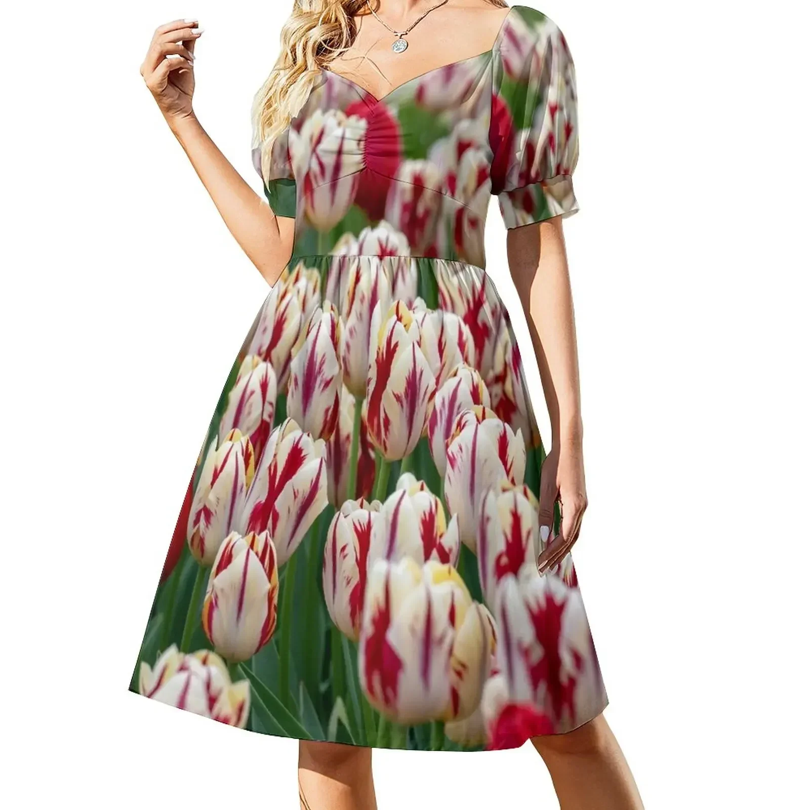 

Peppermint Short-Sleeved Dress Women's skirt dress for woman Dress