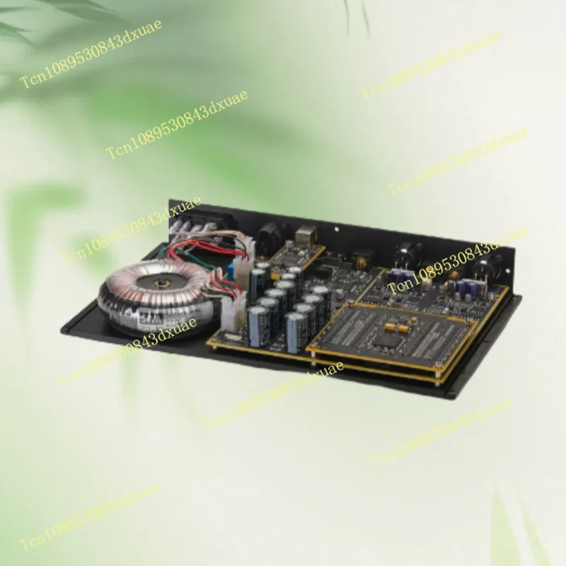 

HOLO Audio Cyan 2 fully discrete R2R decoder DAC, direct decoding DSD