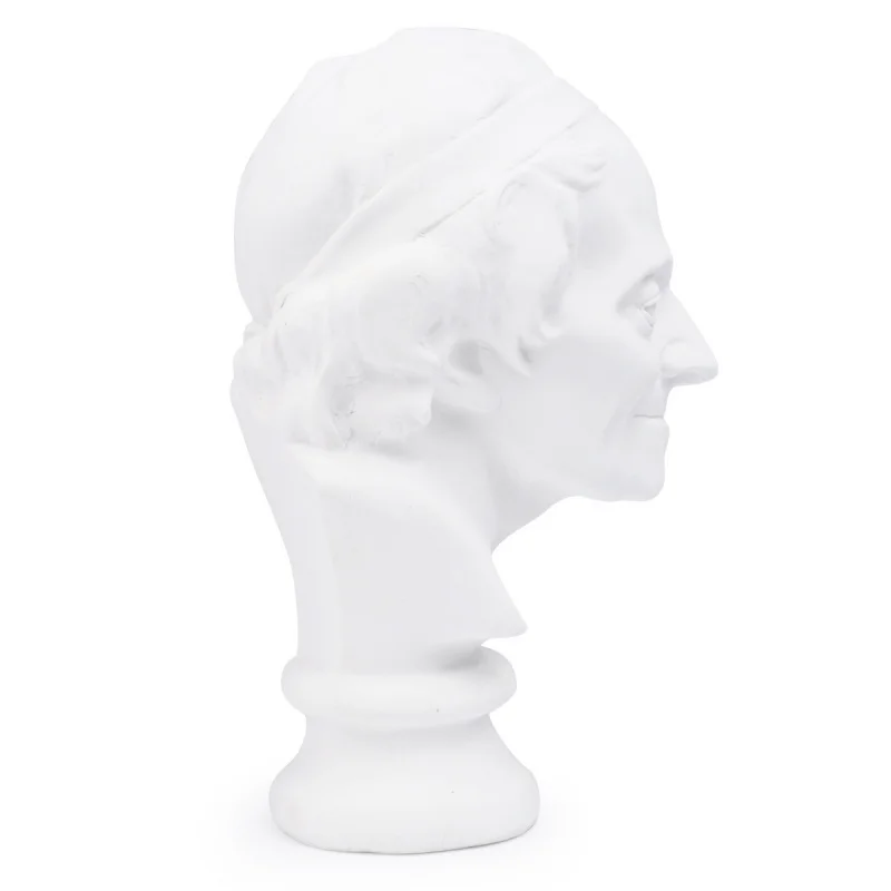 Resin Art Sketching Practice Plaster Statue Home Decoration Ornament Portrait of Voltaire