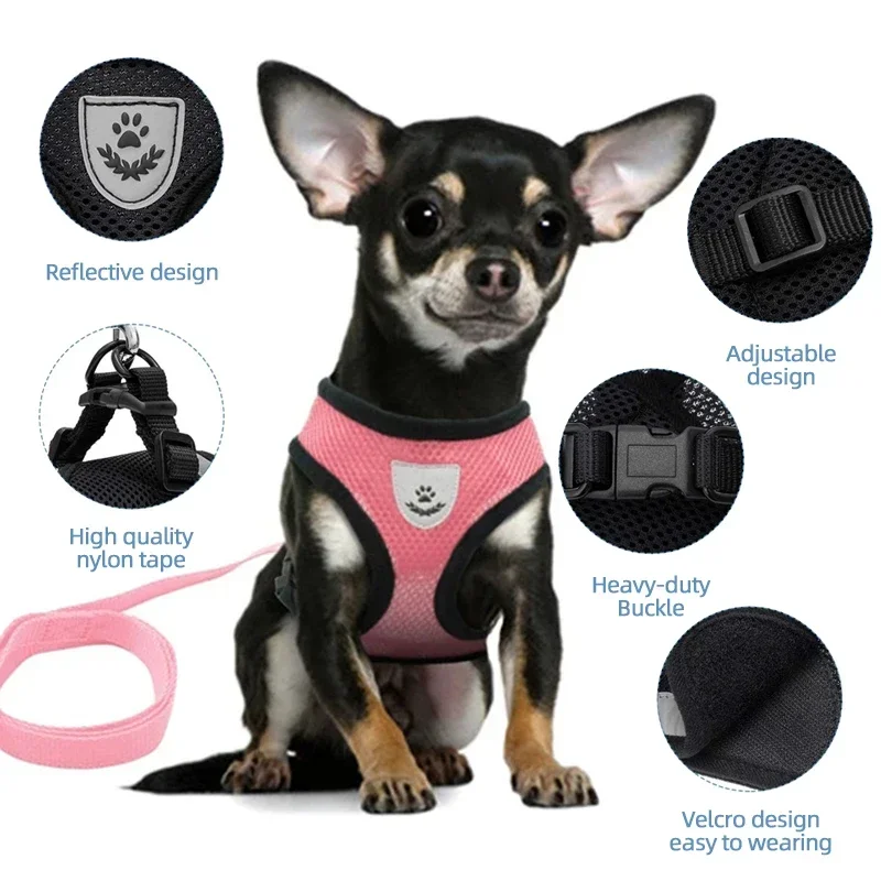 Thumbnail 3 - #42 Best Puppy Leads to Buy In 2026