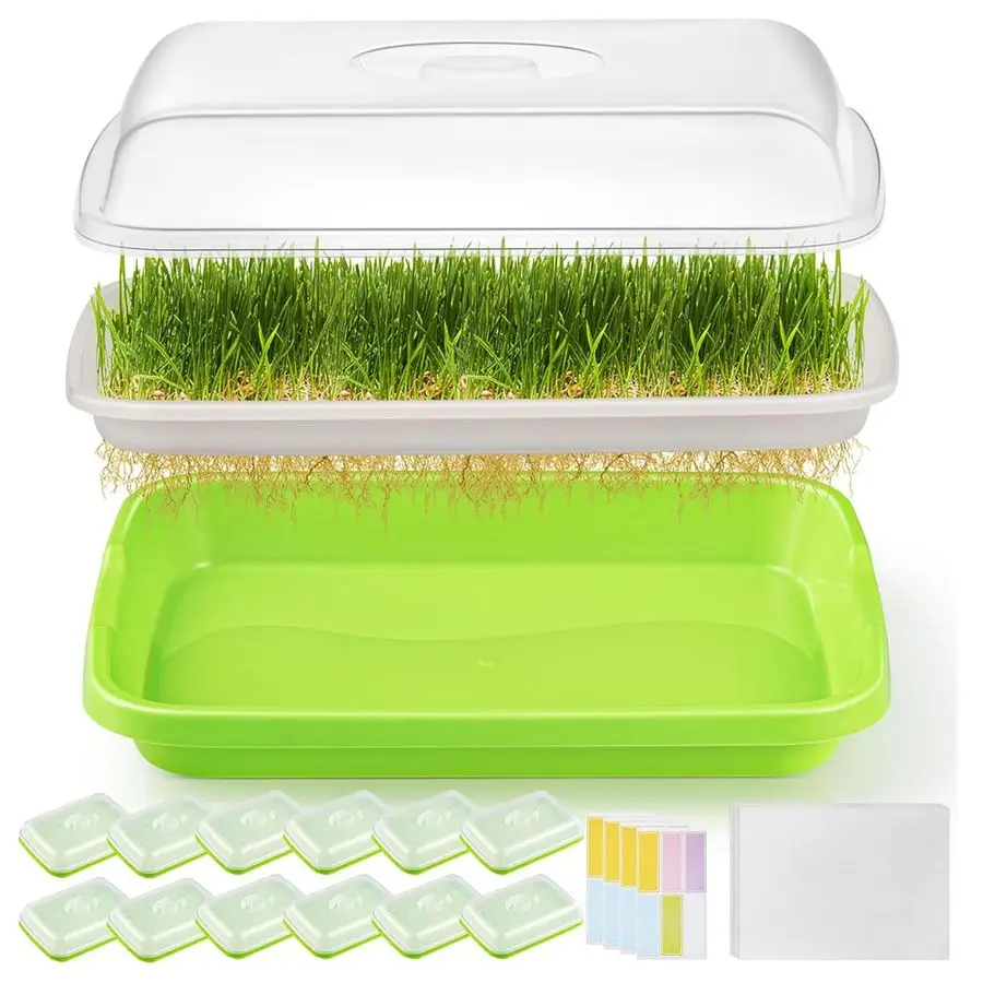 

Pack Green Seed Sprouter Trays with Lid, SoilFree Cultivation Germination Tray, Fodder Sprouting Trays Nursery Tray with Plantin