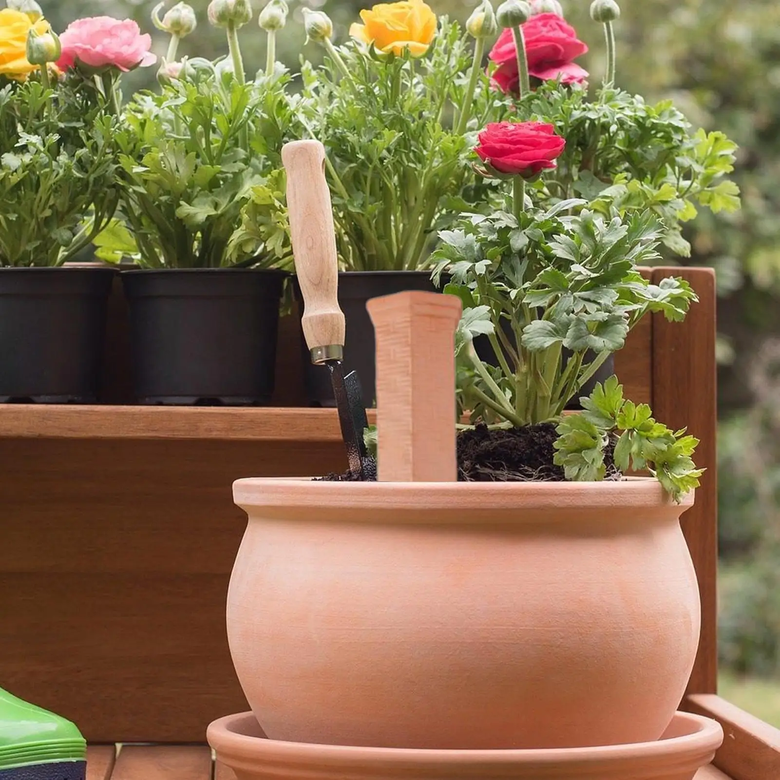 

Water Spikes Slow Release Plant Watering Spikes Slow Release Waterer Tool Accessories For Flower Lovers Outdoor Indoor Garden