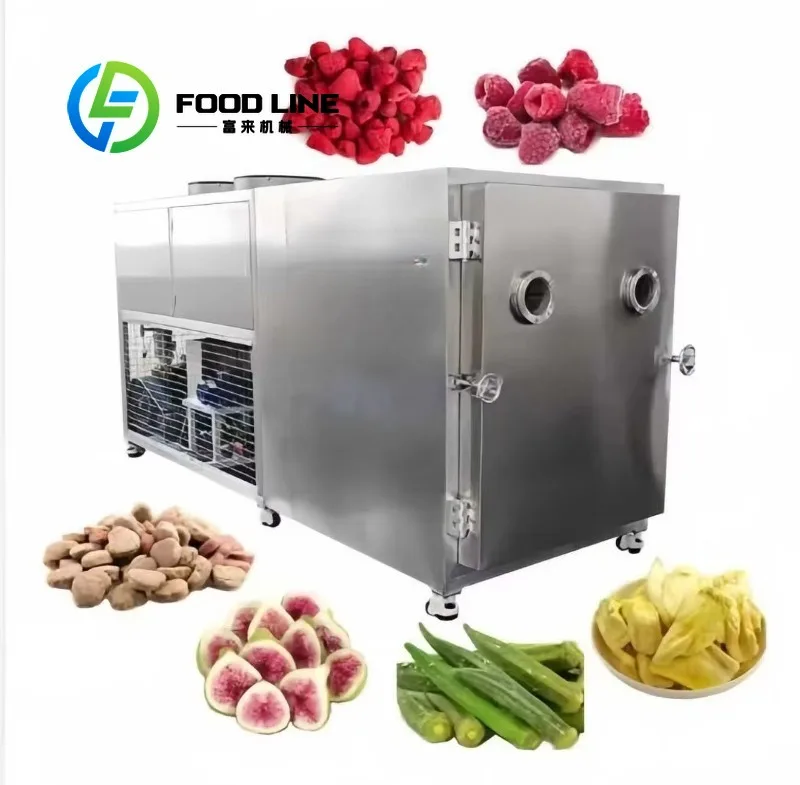 Food Freeze Drying Machine Quick Cooling Pre-Freezing Chamber Shortens Preprocessing Time Before Formal Vacuum Lyophilization