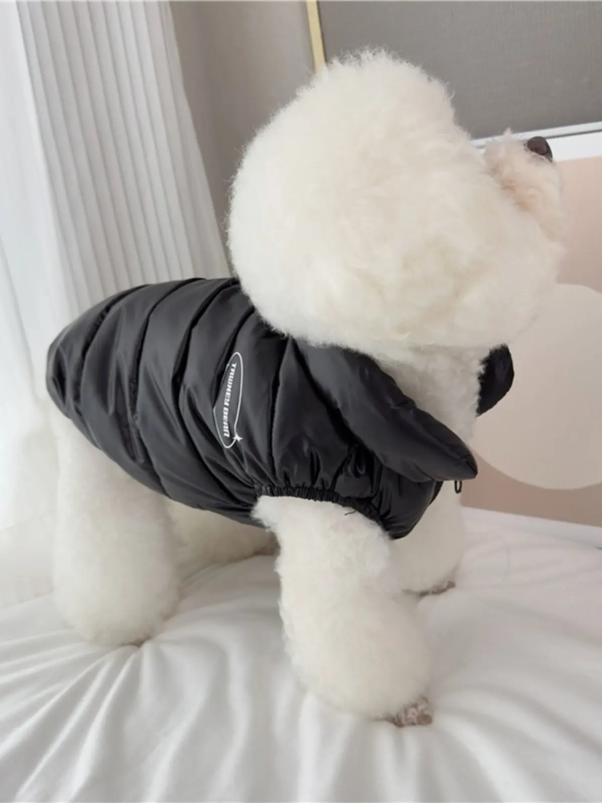 Warm Windproof Cotton Dog Coat Monochromatic Designer Winter Clothes for Large Dogs Puppy Accessories