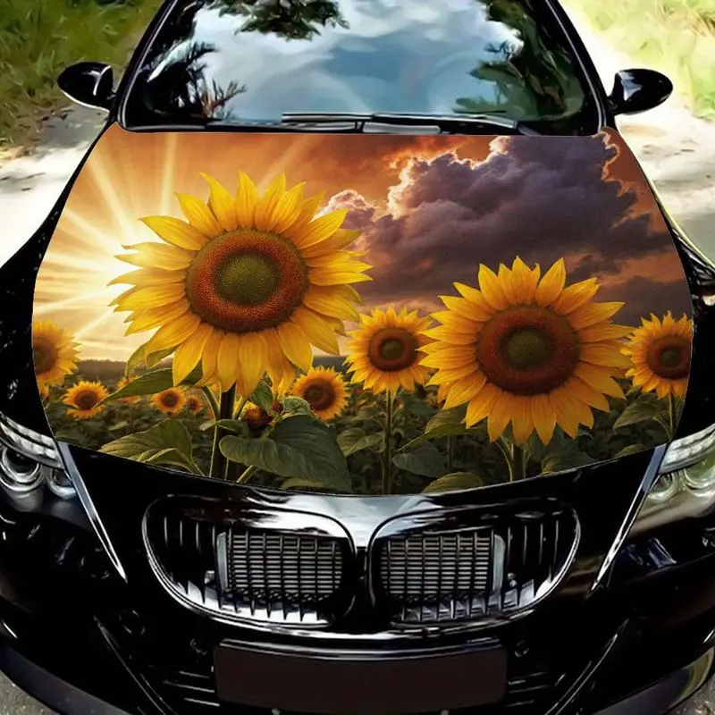 

Sunflower design under the sunset sky Car hood film, bright yellow petals, dark brown flower heart green leaves with blazing
