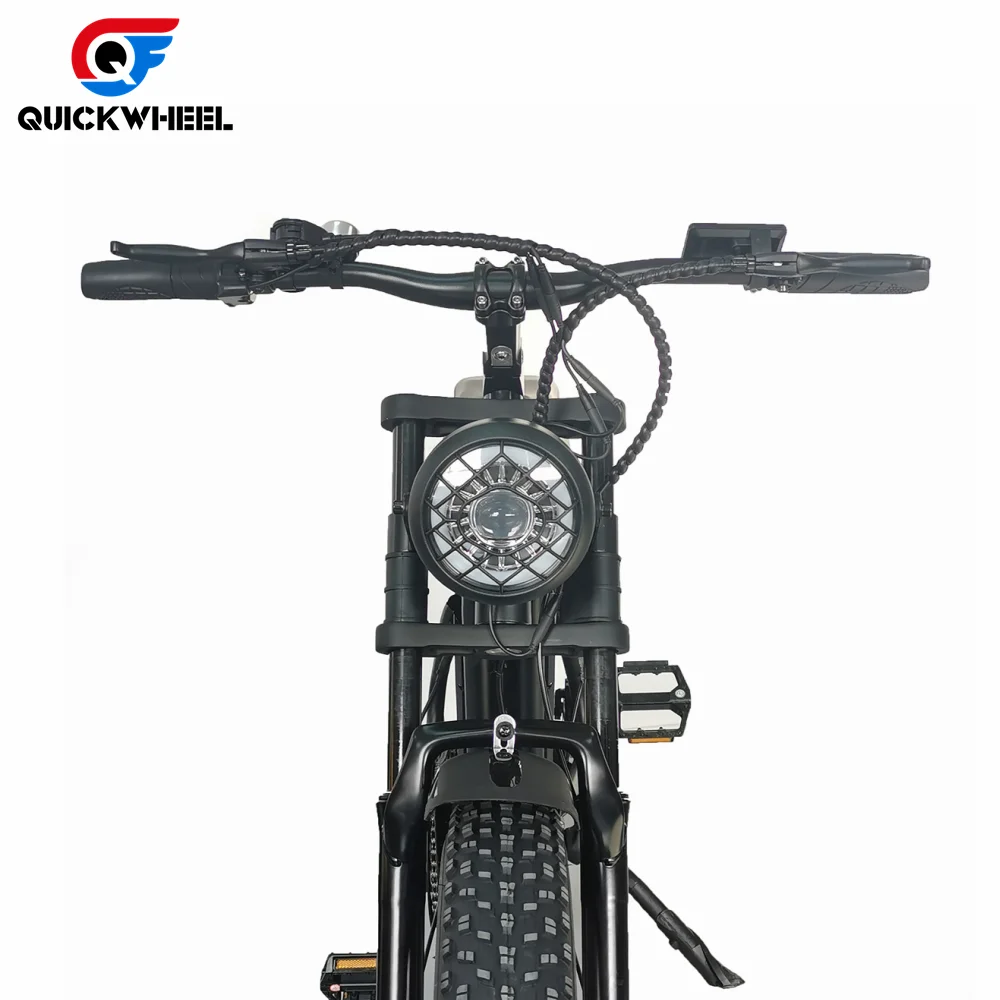 C91 20 Inch 1000W Big Power Electric Mountain Bike/Electric Bicycle/Electric Bicycle Kit 48V 17.5Ah Electric Bicycle Battery