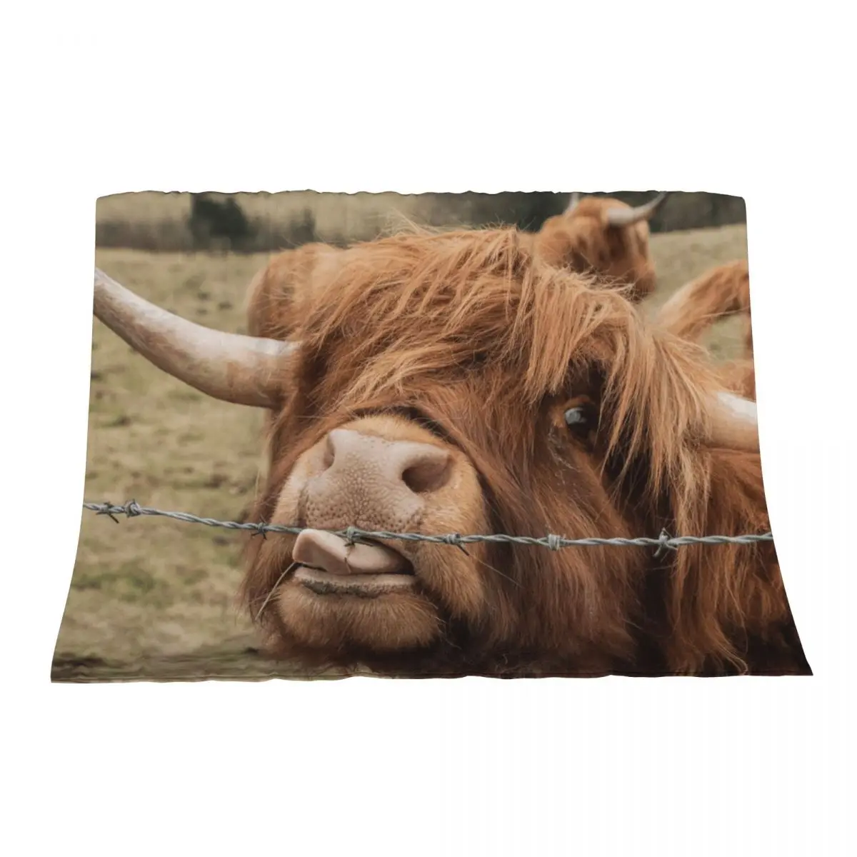 

Scottish Highland cow Throw Blanket halloween Furry blankets and throws Fashion Sofas Blankets