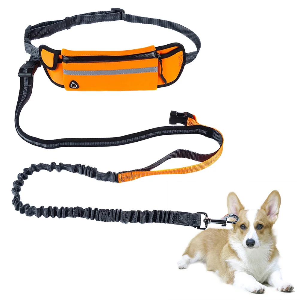 

Hands Free Waist Waterproof Dog Leash Adjustable Waist Pocket Bag Running Walking Hiking Safety Reflective Bungee Shock