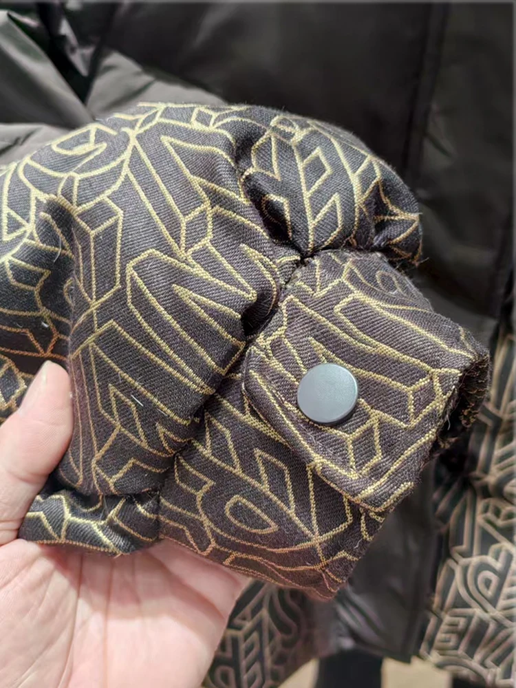 Style coréen hiver nouveau imprimé brodé doudoune femmes Style court col montant mode blanc canard vers le bas manteau