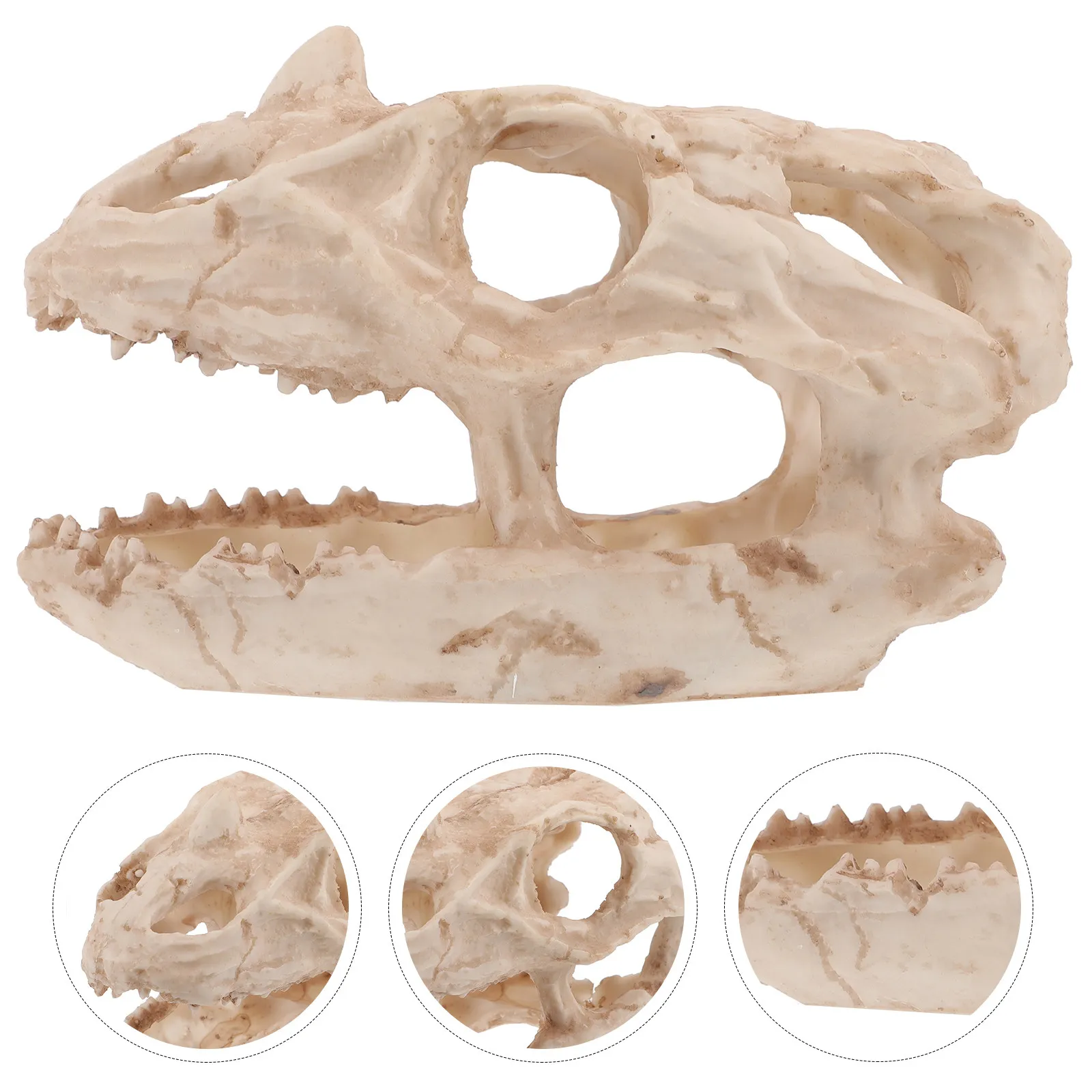 

Декоративный элемент для аквариума: череп динозавра из смолы, укрытие для рыб, креветок, рептилий, подводный ландшафт, креативный дизайн