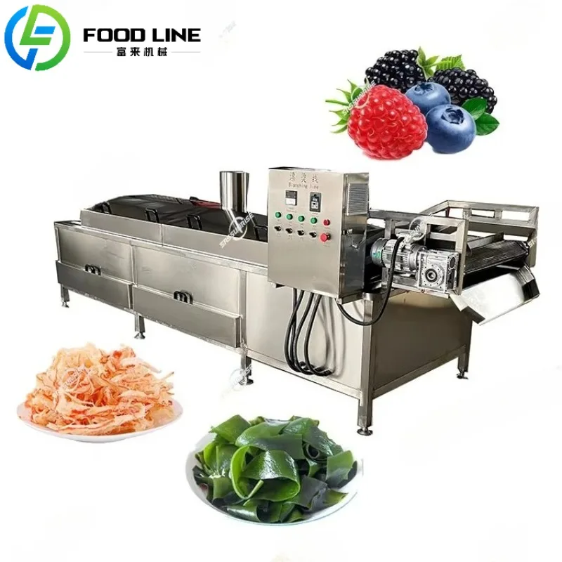 

Stainless Steel Blanching Machine For Potato Chips Noodles Plantain Chips Almonds Mushroom Energy Efficient Heating System
