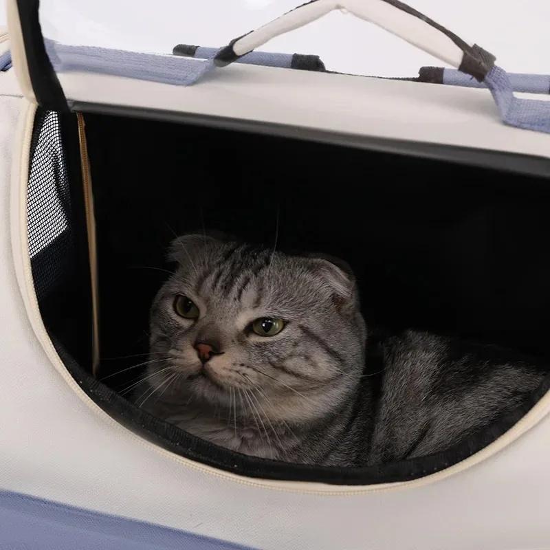 Mochila transparente para mascotas, transpirable: perros y gatos - imagen 2