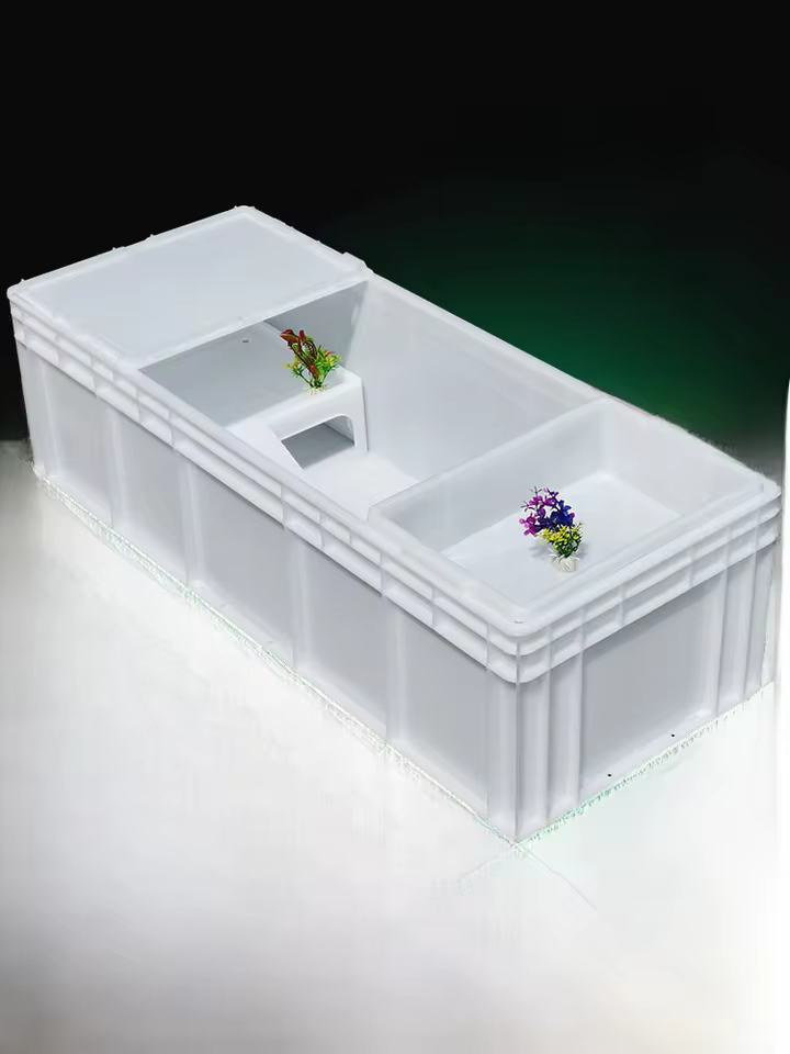 2. 흰색 거북 상자..