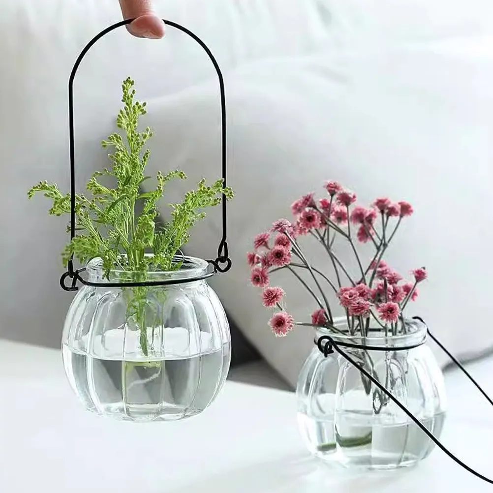 6 pcs Wall Mounted Indoor Hanging Decor Vertical Planter Halloween Christmas New Year Glass Hydroponic Vase Clear