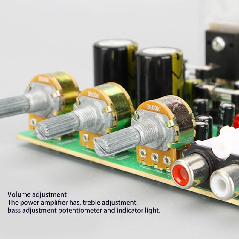 High Power Amplifier Board with 2x80W & Dual Filter Capacitors Board with FET Chip & 4558 OP AMP TYP