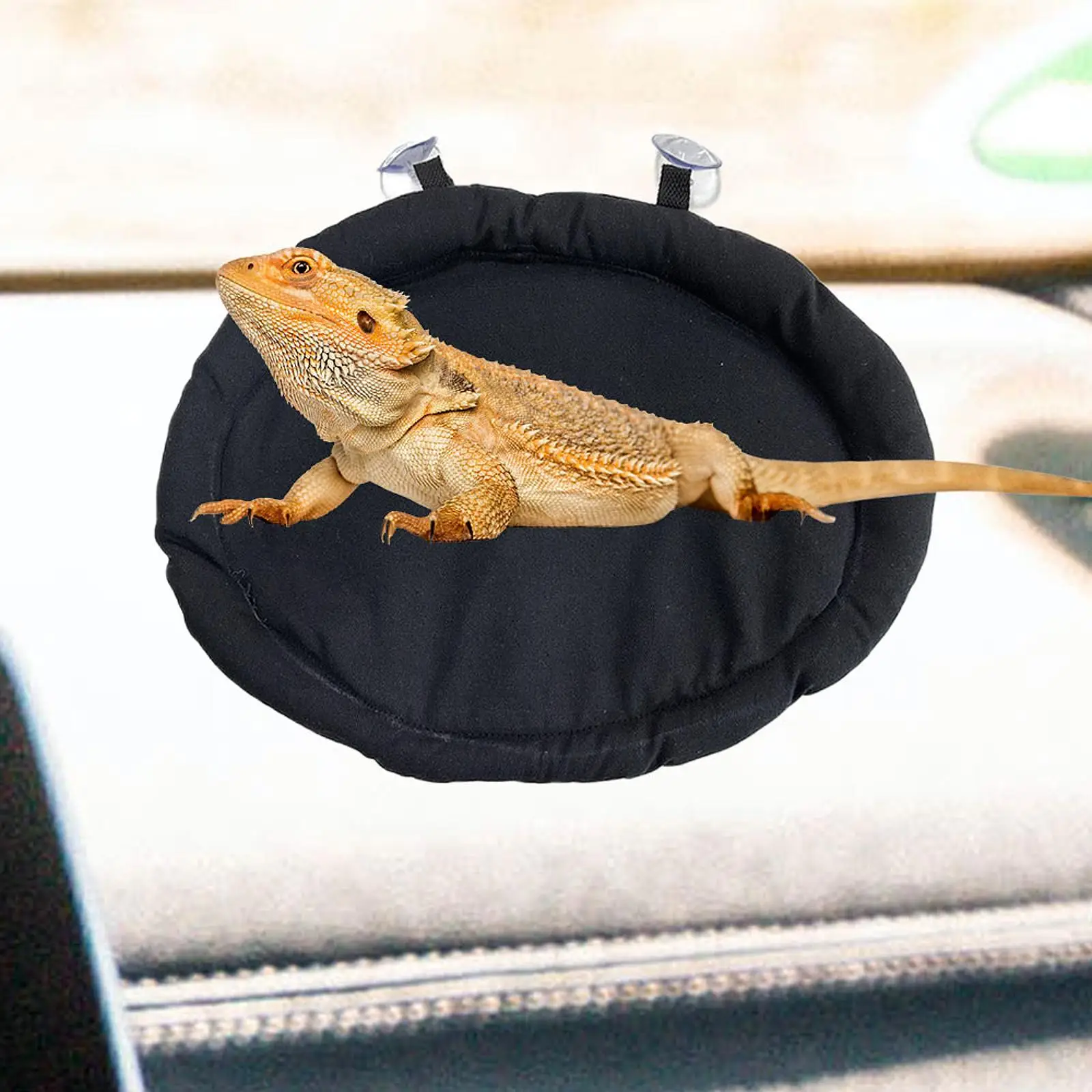 سرير نوم سحلية، وسادة ناعمة على شكل حيوان صغير، ليوبارد أبو بريص للحيوانات الأليفة الصغيرة #4