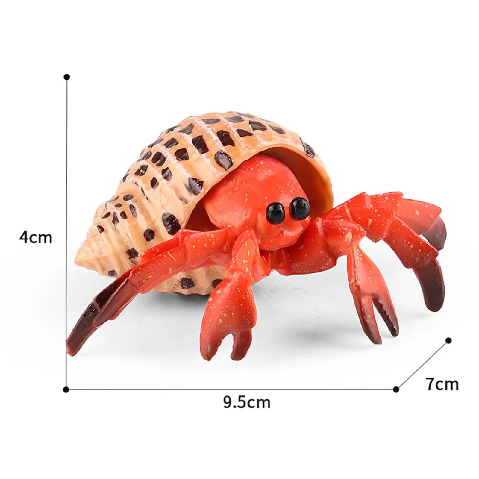 مجموعة لعب تمثال الحيوانات الناسك كراب مجموعة حوض السمك لعبة أطفال إبداعية نموذج محاكاة للفصول الدراسية