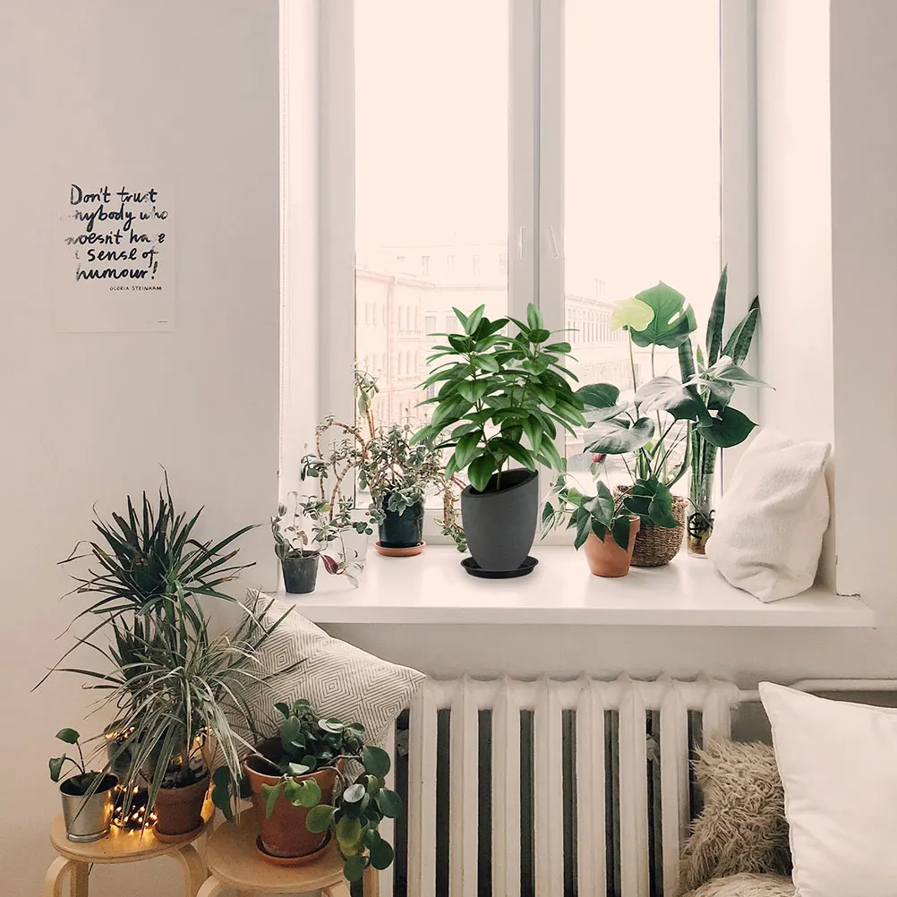 

10 Pcs Flower Pot Base Drainage Tray Outdoor Planter Water Trays Large Round Potted Container Bonsai for Plants