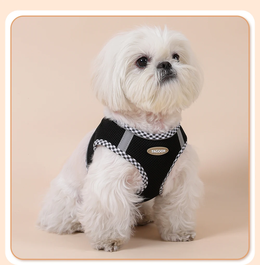 Hundegeschirr für Katzen, verstellbares Geschirr und Leine-Set für kleine Haustiere, atmungsaktive Weste für Mops, Chihuahua, Bulldogge, Hundezubehör – Detail 13