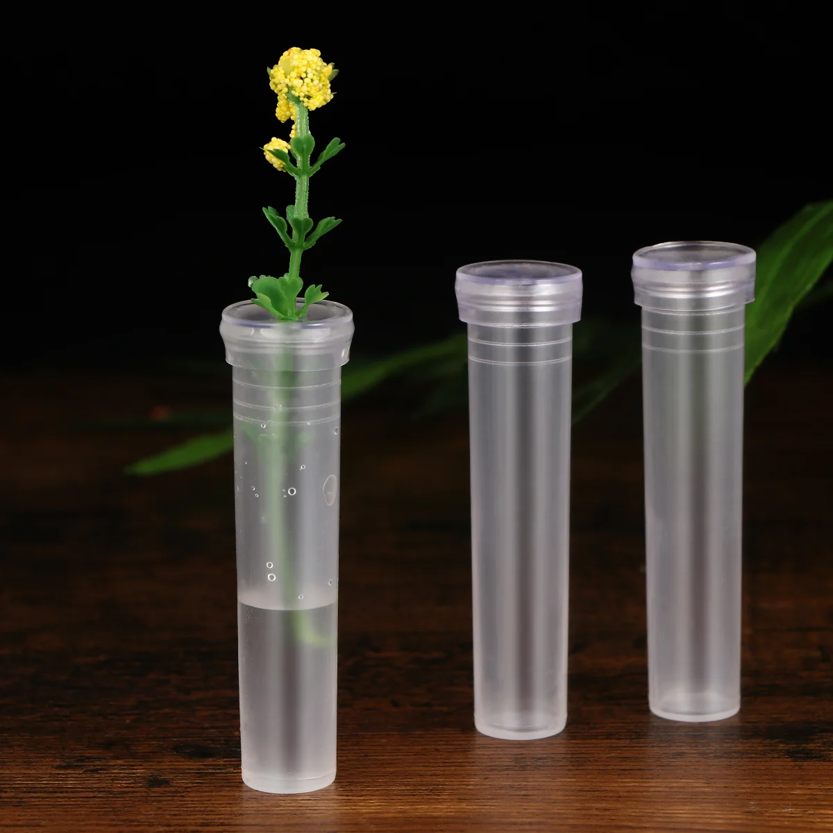 Healifty 50pcs Nutrition Flower Plastic Tube Transparent Water Flower Tube Flower Water Container Florist Supplies