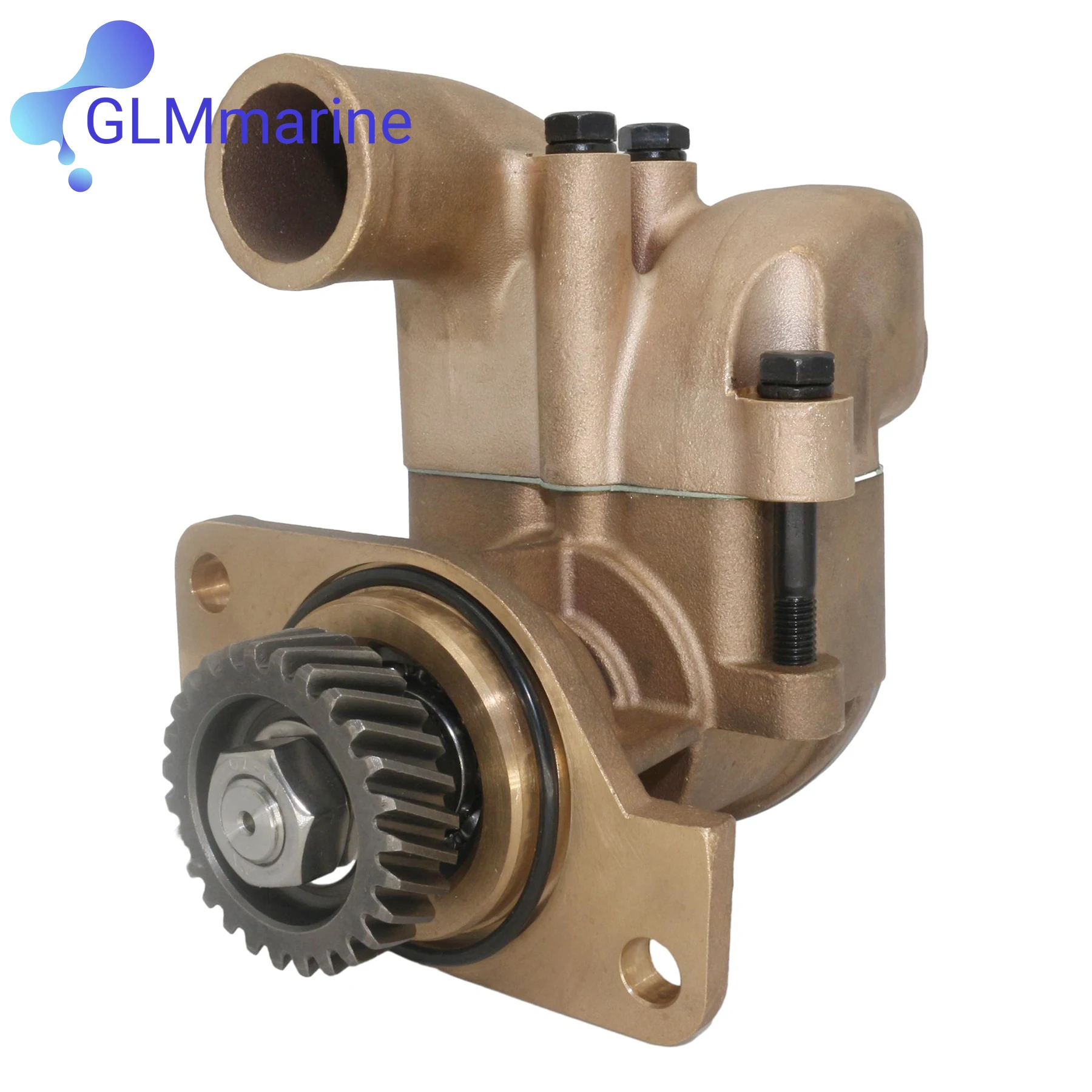 Sea Water Pump For Yanmar Marine 6LP STE DTE STP2 Diesel Raw Water Pump 119773-42500 119773-42501 Johnson Pumps 10-24493-02