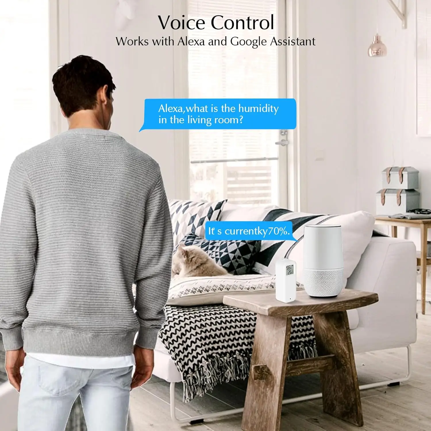 WiFi Indoor Thermometer & Humidity Monitor, Smart Alerts, Data Storage, White 2-Pack with Screen