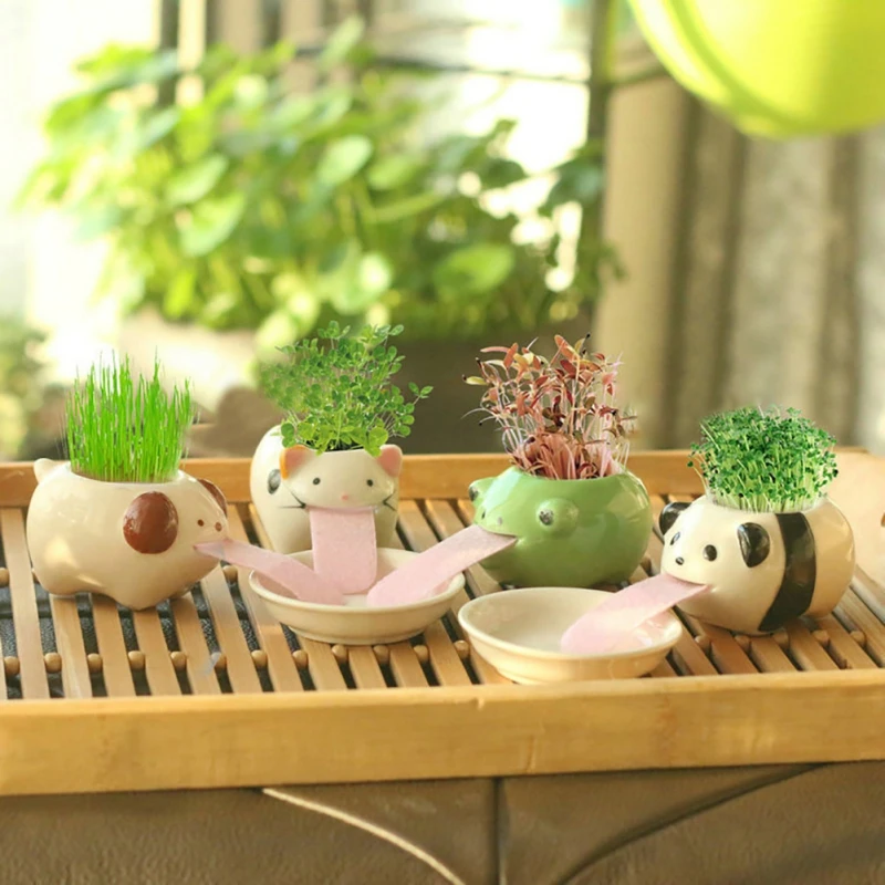 Śliczna świnka/żaba/kot/niedźwiedź/Panda ceramiczna doniczka na kwiaty mała kreskówka soczyste doniczki Bonsai kaktus ozdoba domu doniczki ogrodowe