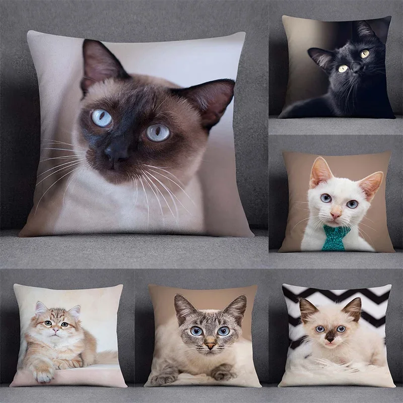 Cat series pattern decorative pillowcase, square  home office decoration (45cm * 45cm)