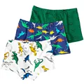 3pcs Dinos Boxers 13