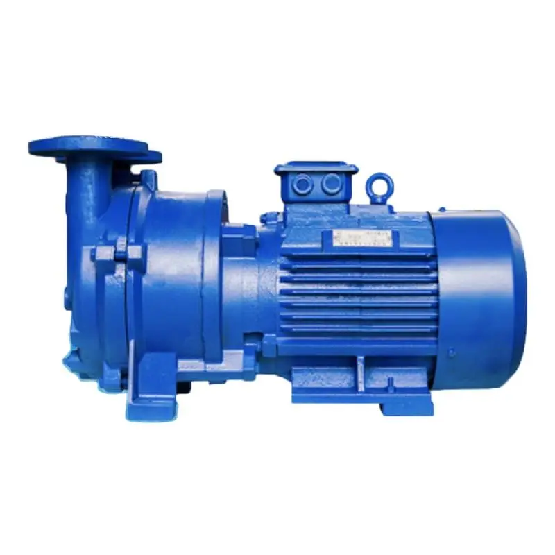 Cast Iron 2BV6111 liquid Ring Vacuum Pump for gas and vapor