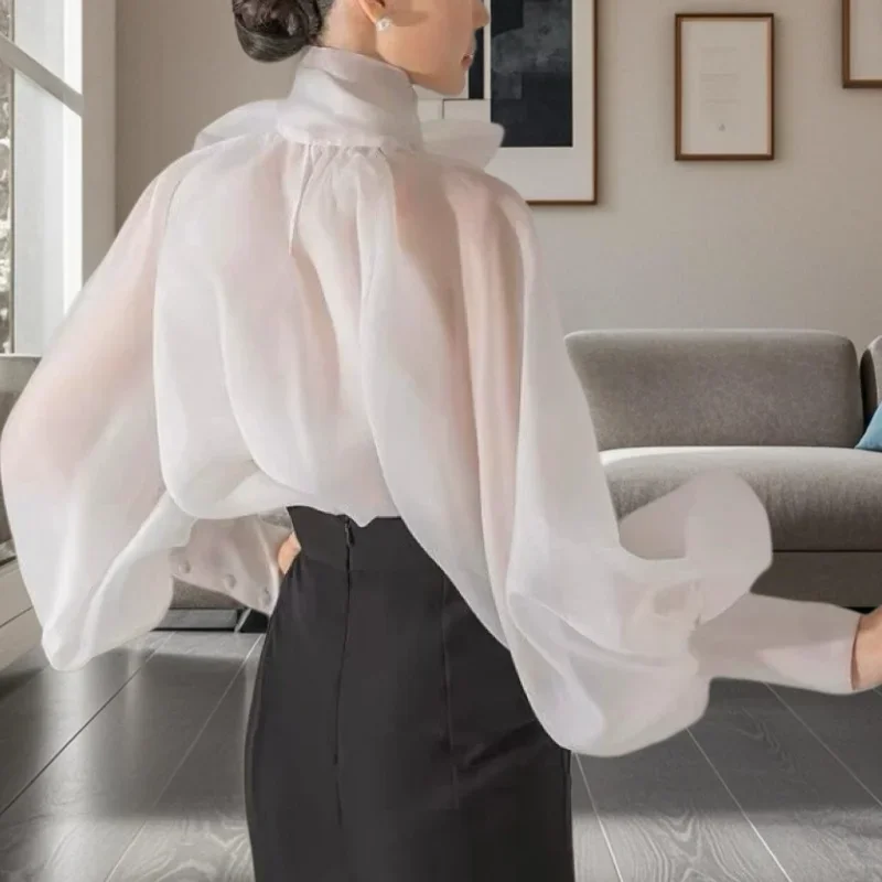 

Fashionable Sheer Lace Up Shirt For Women In Spring And Autumn, High Necked Lantern Sleeves, Loose And Elegant Shirt