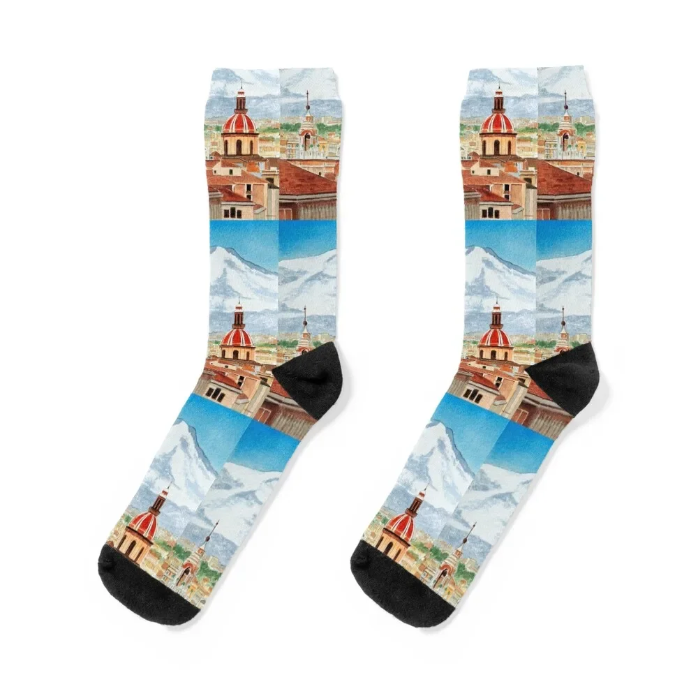 

Catania Sicily And Mount Etna Socks anti-slip winter thermal hiphop Socks For Women Men's