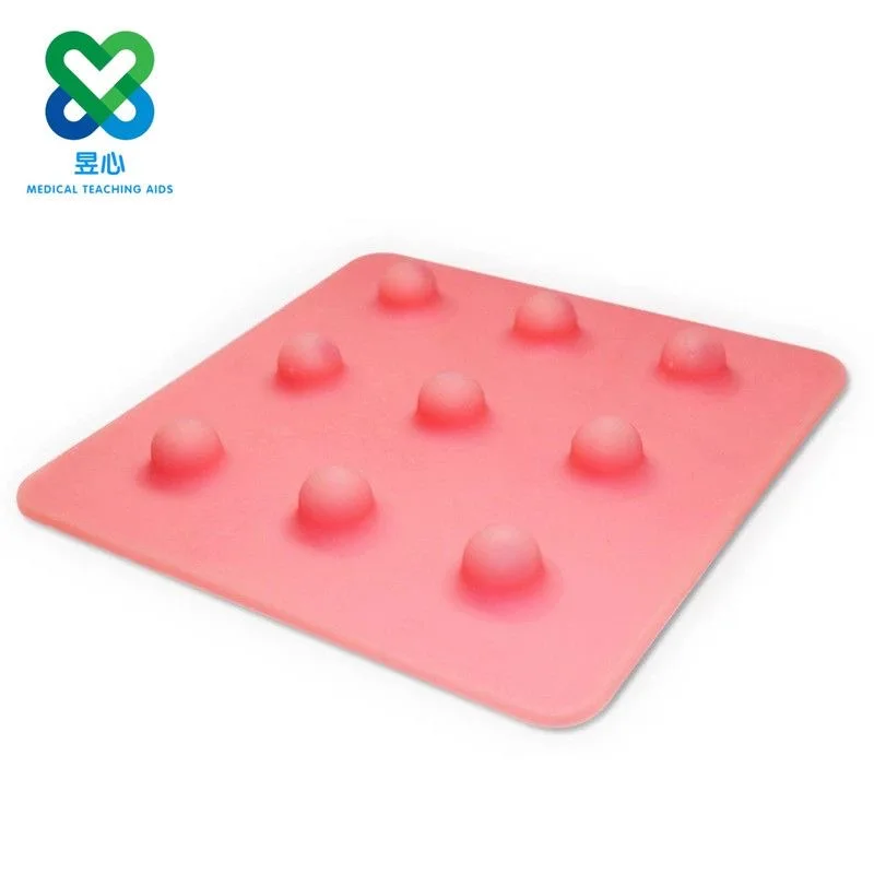 Laparoscopic Simulation Dissection and Cutting Module for Human Tissue Medical Surgery Training Medical Teaching Aid