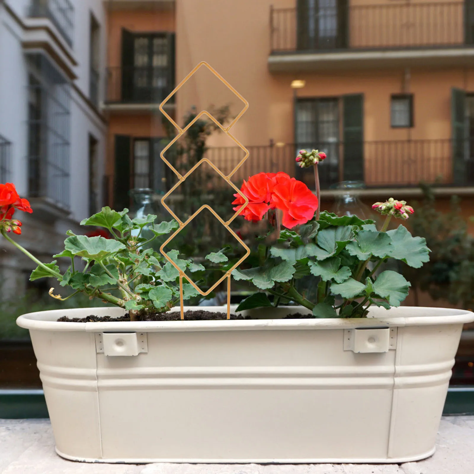 

Small Metal Trellis Gold Copper Plant Stake Potted Plants Indoor Outdoor Climbing Vine Support Monstera Pothos Flower Plant