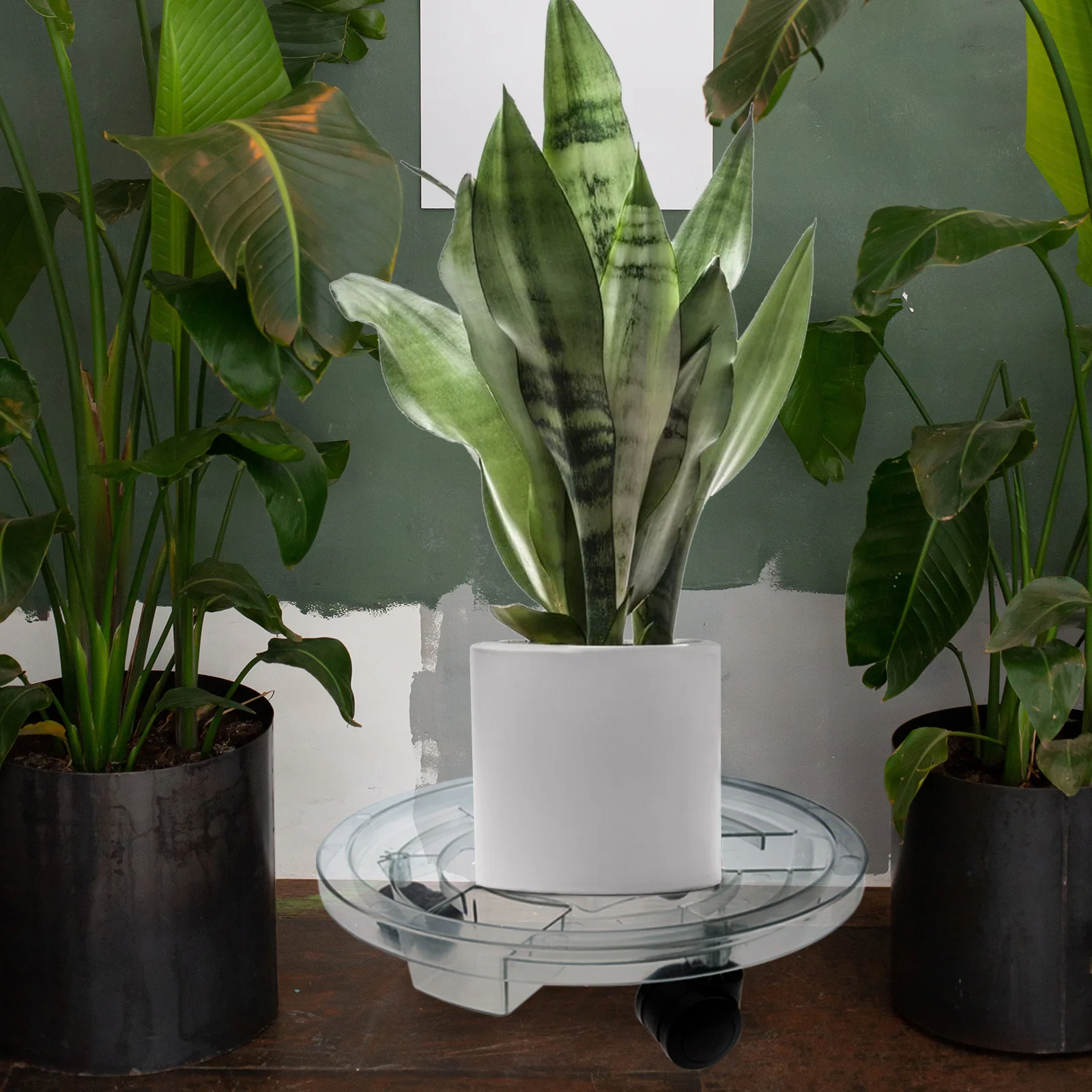 

Movable Flowerpot Base Thickened Plant Dolly Wheels Rolling Garden Stand Outdoor Indoor Plant Pot Tray Bonsai Tray