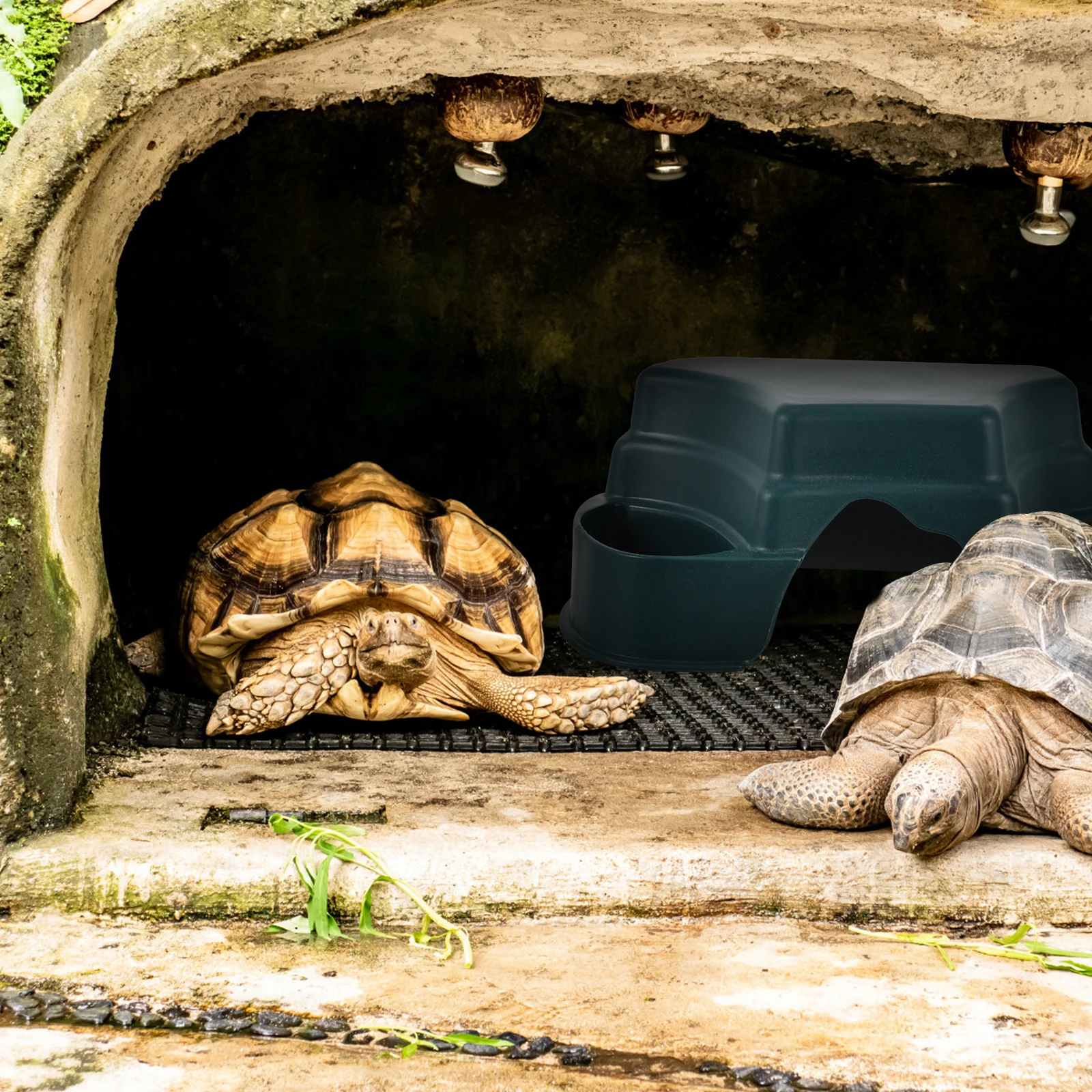 

2 Pcs Cave Turtle Hide Platform Plastic Pet Feeder Decor Durable Vivid Unique Reptile Tortoise Hide Cave Box Adornment