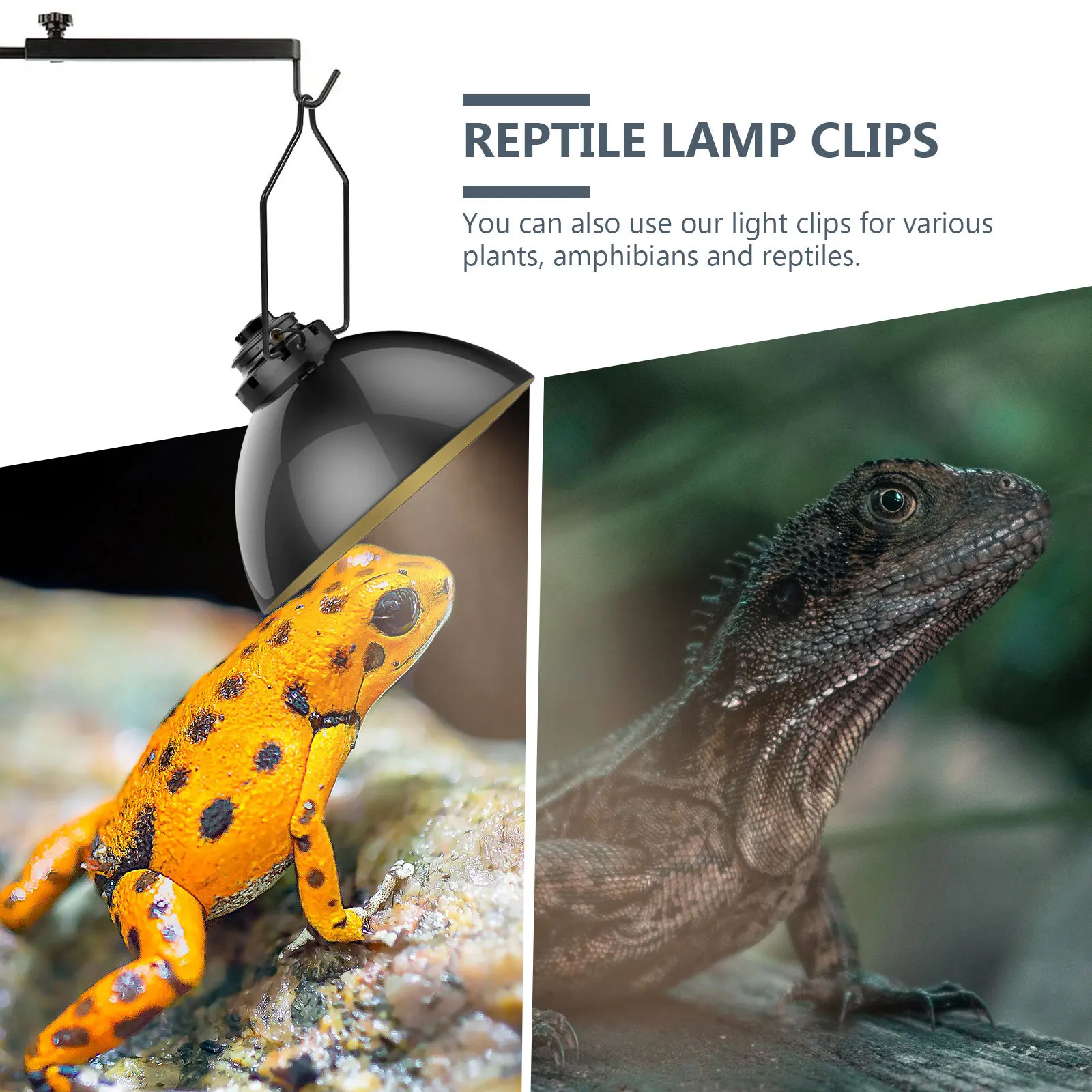 

10Pcs Reptile Lampshade Clips Iron Fixing Clamps Smooth Edge Black Long-Lasting Light Cover Holders for Climbing Pet Lamps