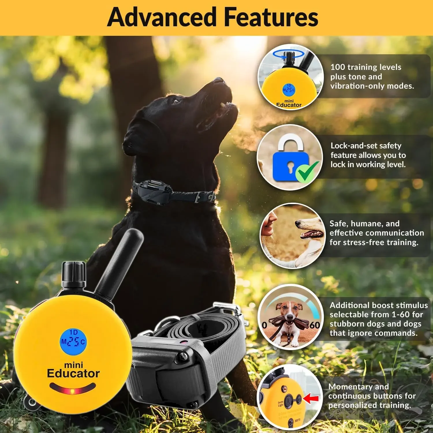 E-Collar Humane Dog Training Collar with Remote, 100 Safe Tapping Stimulation Levels, Waterproof, Rechargeable, 1/2 Mile 1 Small