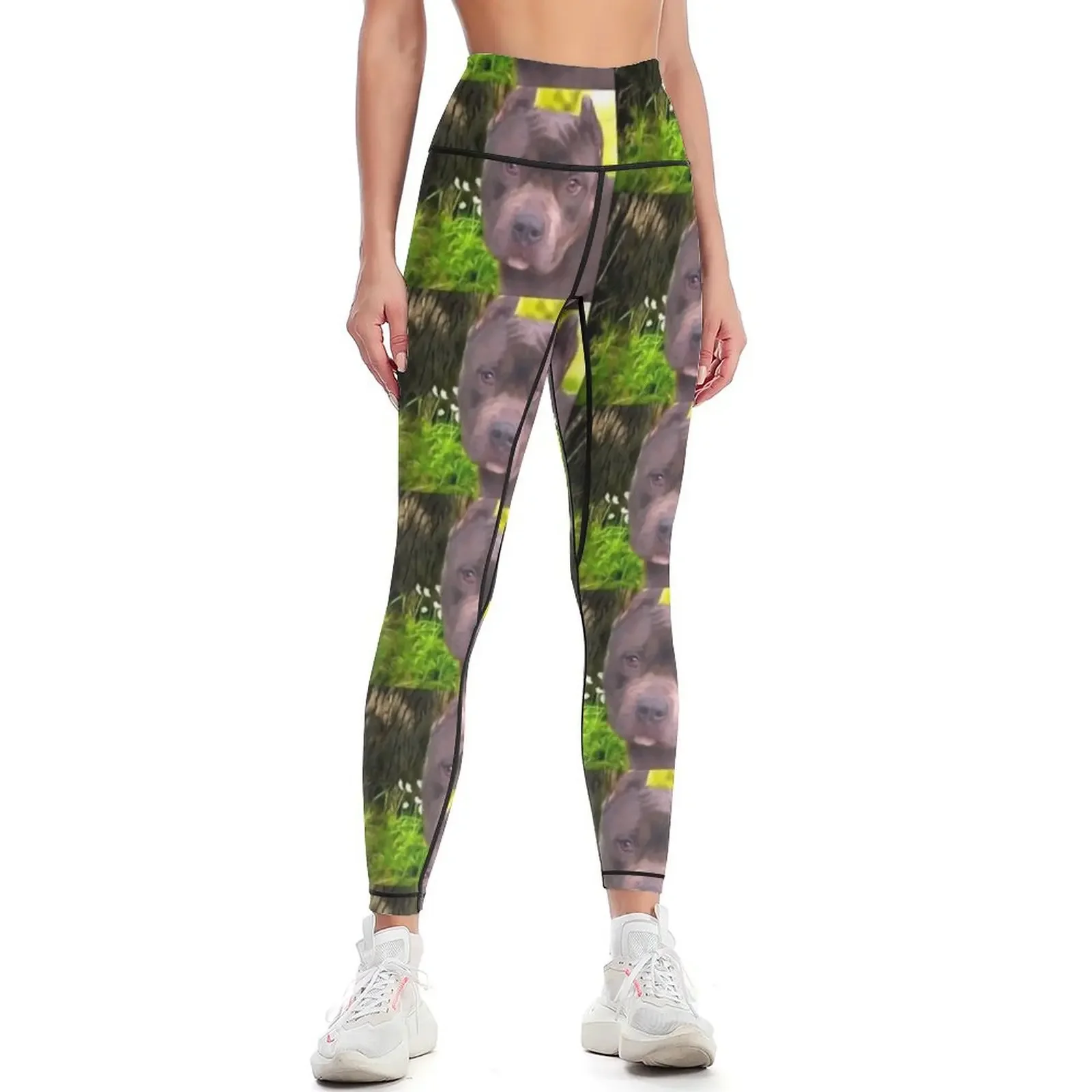 

Brown Pitbull Dog Leggings sporty woman gym Legging sexy woman Women's fitness Womens Leggings