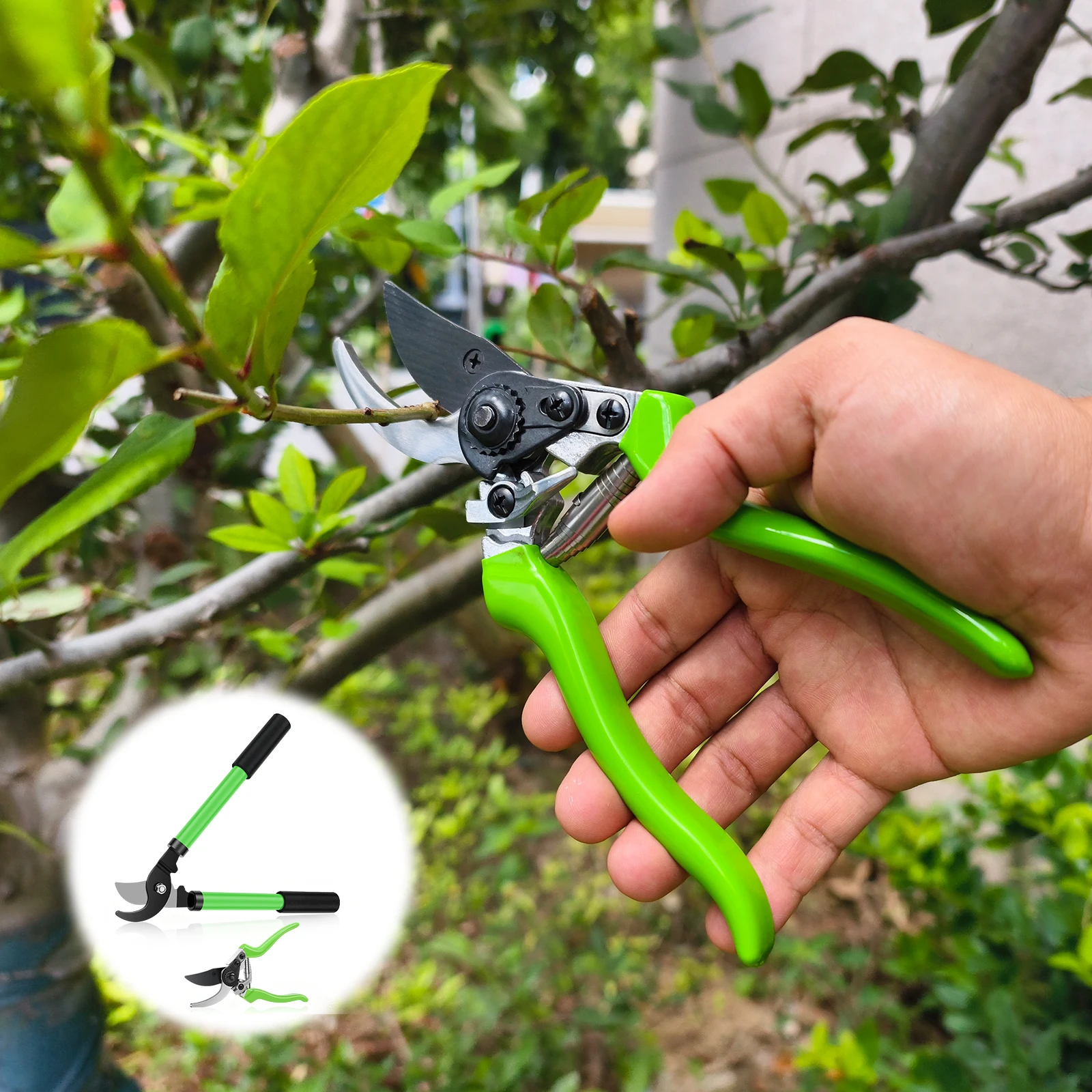 2Pcs Gardening Pruning Trees Cut Pruning Shears Scissors for Bonsai/Fruit Tree/Flowers/Branches Garden Loppers Branch Cutter