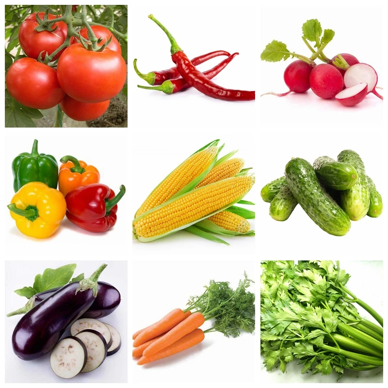 특수 야채 비료, 식물 영양, 홈 가든 분재용 호모브라신로이드 확장 과일 빠른 뿌리 성장