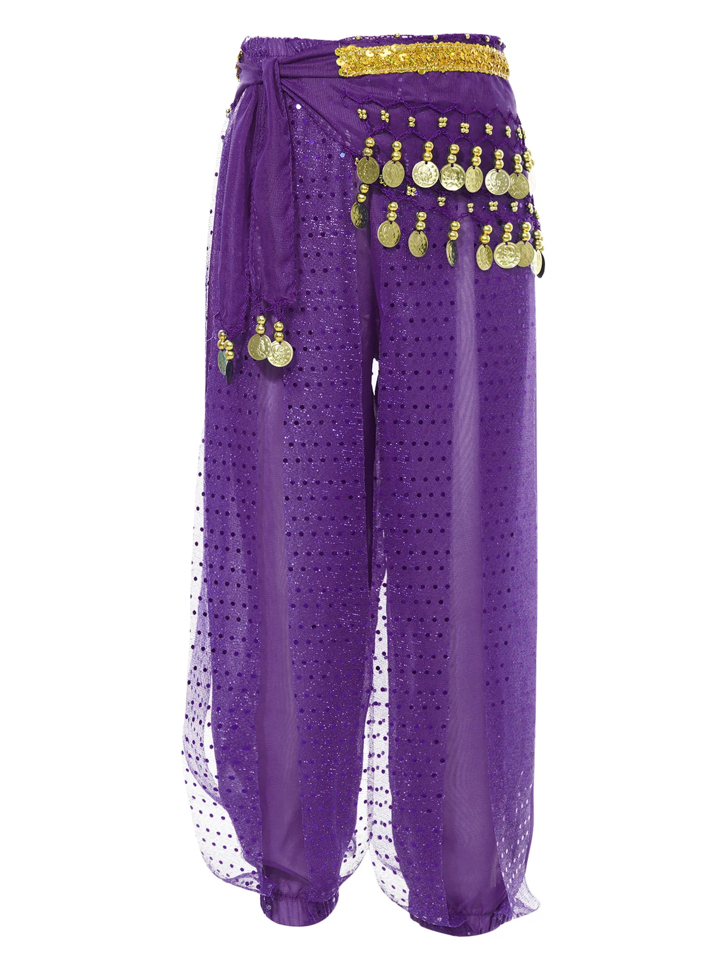 Kinderen Meisjes Buikdans Harembroek Tribal Arabische Broek Pailletten Mesh Chiffon Dansbloeiers met Hippe Sjaal Buikdansoutfits - afbeelding 2