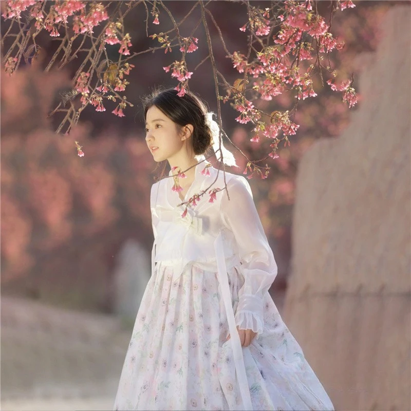 New Women Yanji Princess Hanbok Elegant Court Style Costume Stylish Atmosphere Outfit For Themed Portrait Photography Photoshoot