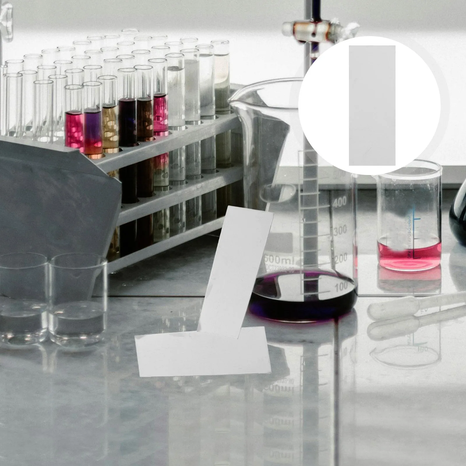 10Pcs Fruit Experiment Sheets Science Project Supply for DIY Experiment Tools Teaching Materials