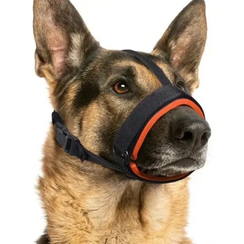 A dog's muzzle can be used as a behavioral training tool to help correct a dog's bad behavior