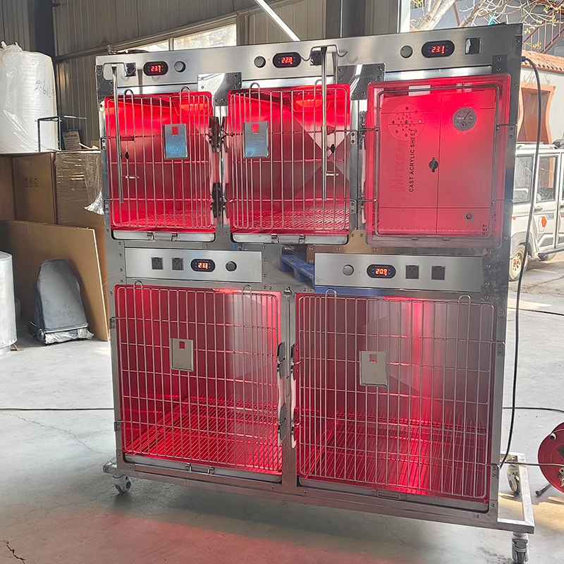 Modular Dog Diagnosis Veterinary Hospital Cage Bank Stainless Steel Durable For Pet Clinic